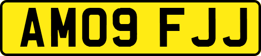 AM09FJJ