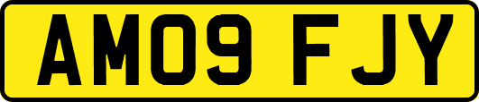 AM09FJY