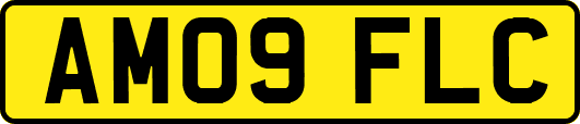AM09FLC