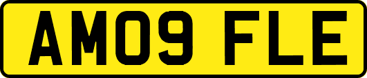 AM09FLE