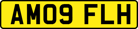 AM09FLH
