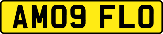 AM09FLO