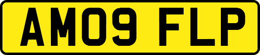 AM09FLP