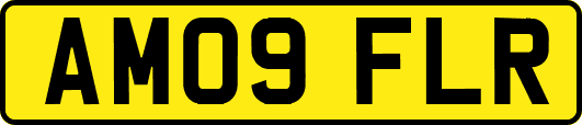AM09FLR