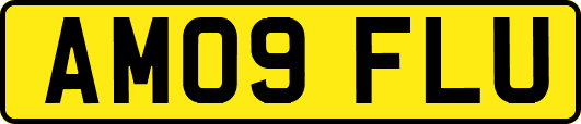 AM09FLU
