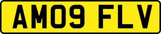 AM09FLV