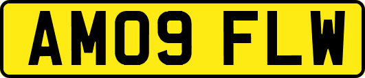 AM09FLW