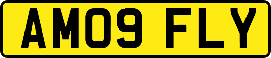 AM09FLY