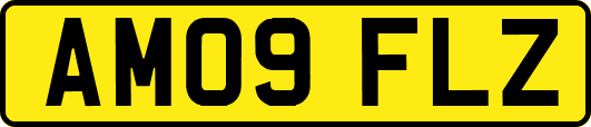 AM09FLZ