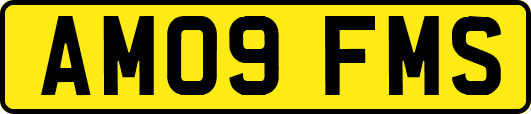 AM09FMS