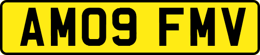 AM09FMV
