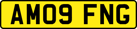 AM09FNG