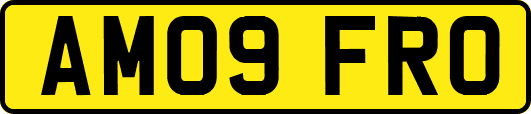 AM09FRO