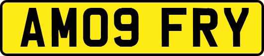 AM09FRY