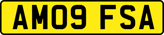 AM09FSA