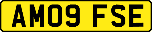 AM09FSE