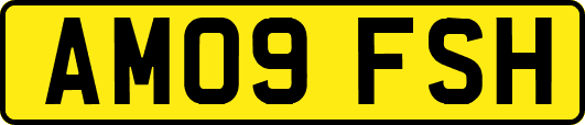 AM09FSH