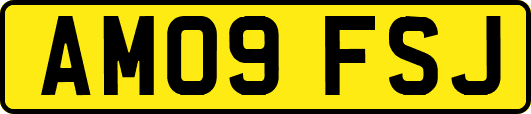 AM09FSJ