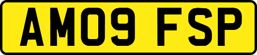 AM09FSP