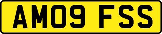 AM09FSS
