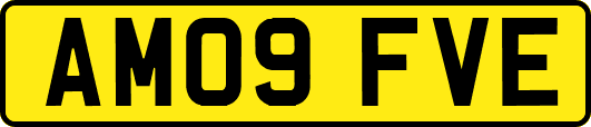 AM09FVE