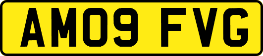 AM09FVG