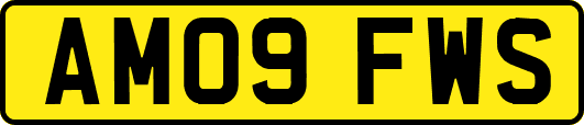 AM09FWS