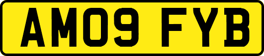 AM09FYB