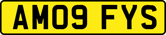 AM09FYS