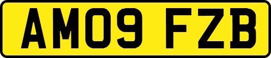 AM09FZB
