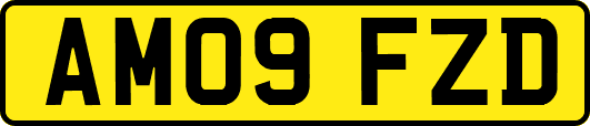 AM09FZD