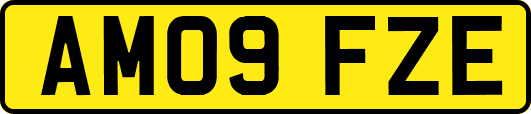 AM09FZE