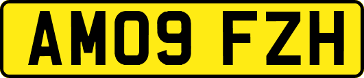 AM09FZH