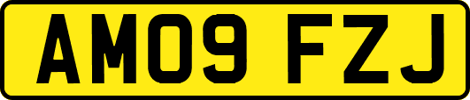 AM09FZJ
