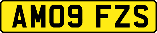 AM09FZS