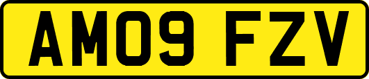 AM09FZV