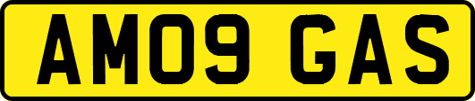 AM09GAS