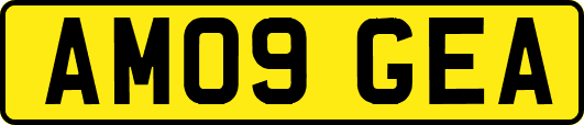AM09GEA