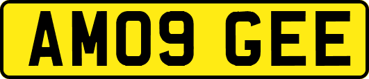 AM09GEE