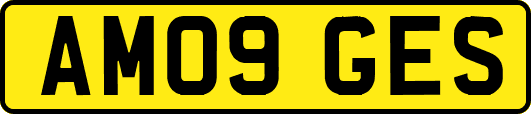 AM09GES
