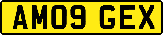 AM09GEX