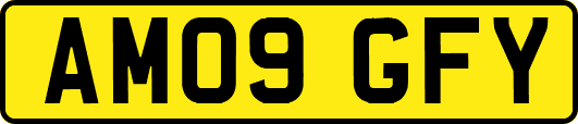 AM09GFY