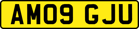 AM09GJU