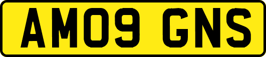 AM09GNS