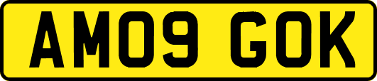 AM09GOK