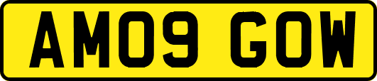 AM09GOW