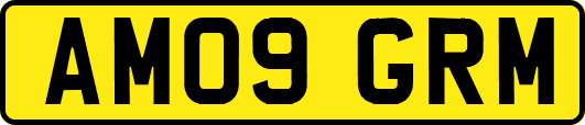 AM09GRM