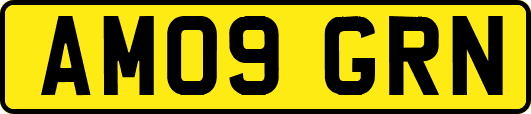 AM09GRN