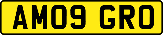 AM09GRO