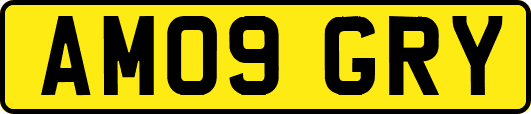 AM09GRY
